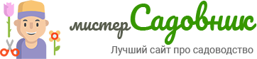 Логотип сайта Мистер Садовник